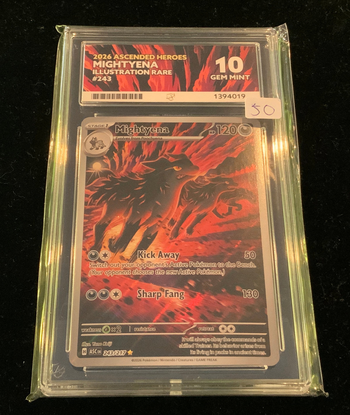 ACE Gem Mint 10 Ascended Heroes Mightyena Illustration Rare #243