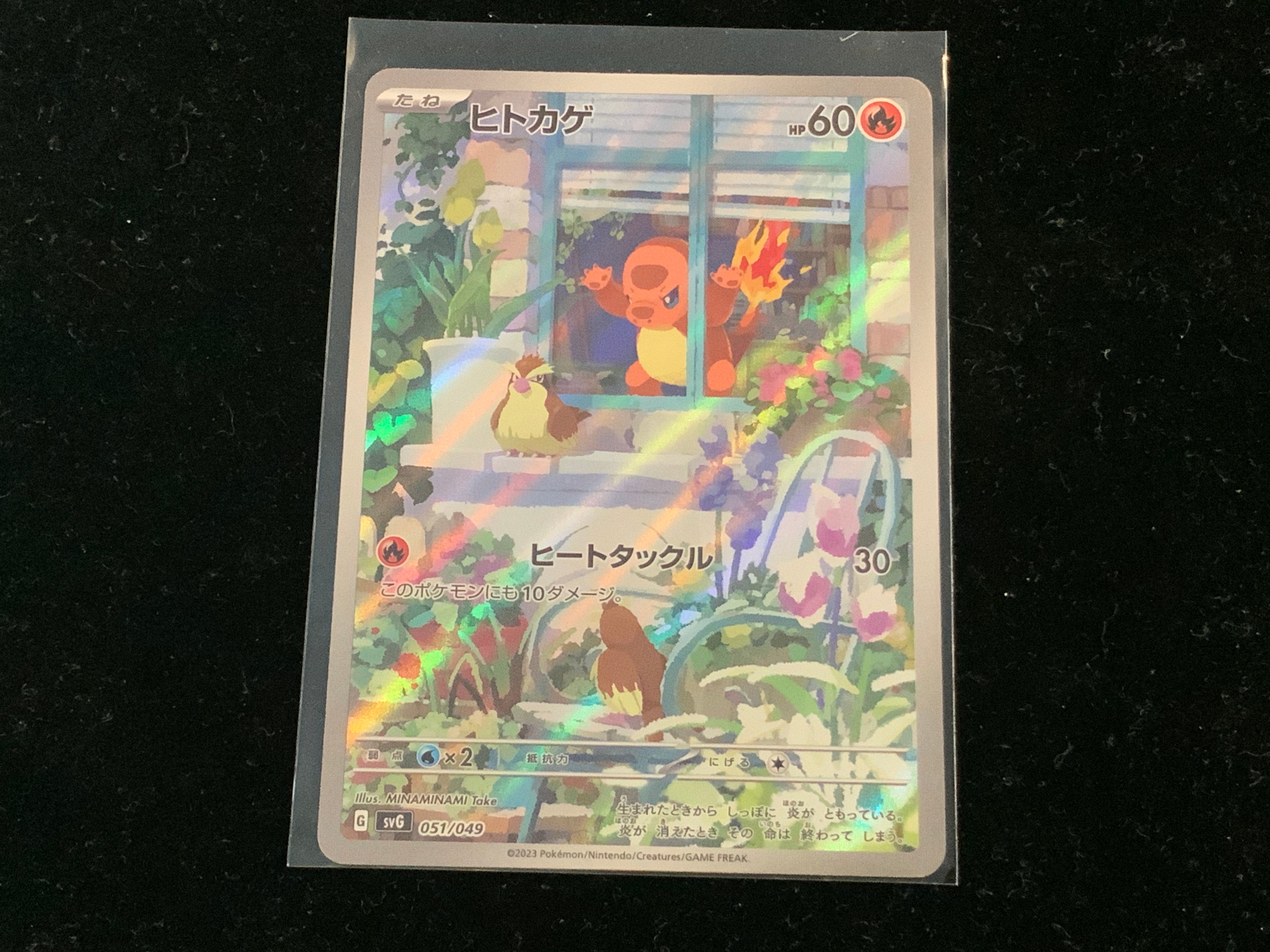 Charmander svG 051/049