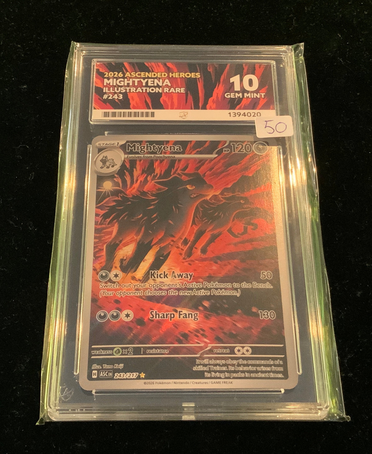 ACE Gem Mint 10 2026 Ascended Heroes Mightyena Illustration Rare #243