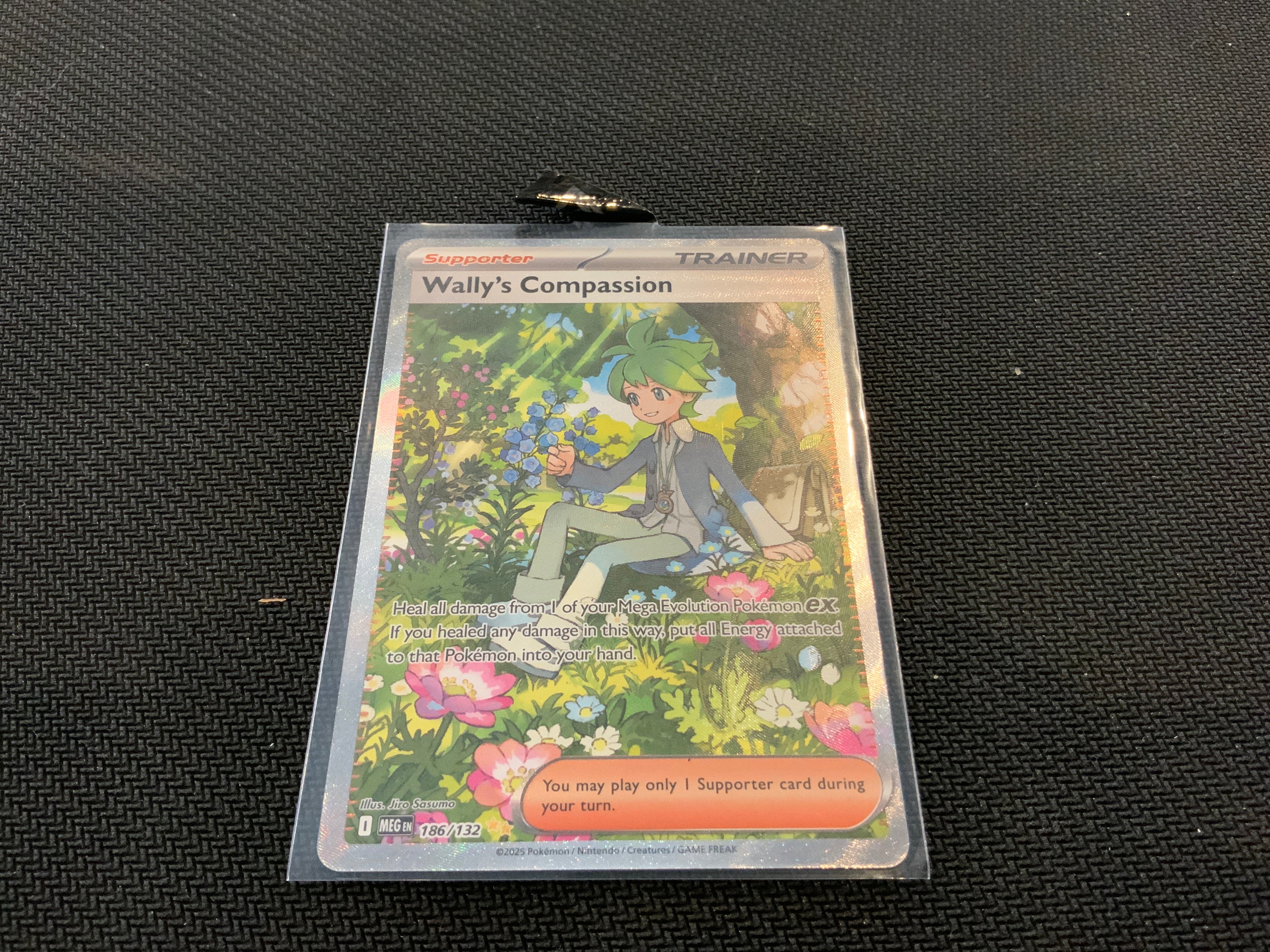 Pokemon MEG Wally’s Compassion