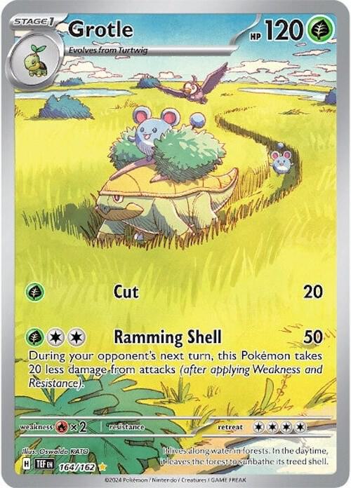 Grotle (TEF 164/162)